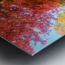 Fall Over the Fence  Metal print