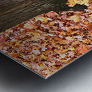 Leaves Me Stumped 1A Metal print