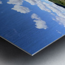 Into the Wild Blue Metal print