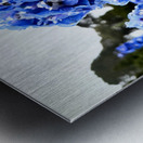 Blue Spire in Bloomstorm: Larkspur Metal print