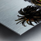 Civic Eden: The Park Awakens Metal print