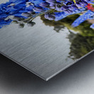 Larkspur: Midnight Choir of the Garden Realm Metal print