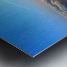 Wings over SF: Above the Quiet Kingdom Metal print