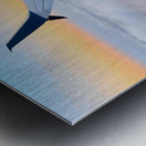 Above the Bay of SanFran– A Quiet Drift at Dusk - Spring 2025 Metal print