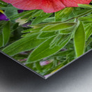 Duet in Full Color Metal print