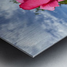 Unspoken Flame of the Garden’s Soul Metal print