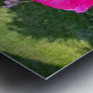 Velvet Guard of the Gardens Heart Metal print