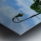 Where the Silence Walks With You Metal print