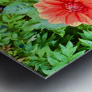 Nature’s Take on Balance and Beauty Metal print