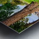 The Lone Umbrella of Morning Light Metal print