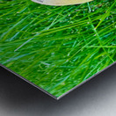 The Philosopher’s Cap Impression metal