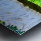 Under the Cap: A Fungal World Revealed Impression metal