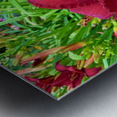 Garden Spotlight Metal print