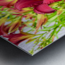 Scarlet Radiance Metal print