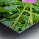 Heart of Summer Impression metal