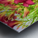 Flame of the Garden Metal print