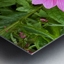 Pink Serenity Metal print