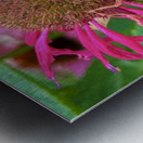 Vital Encounter Metal print