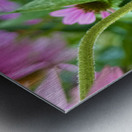 Fading Glory Last Harvest Metal print