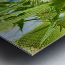 Wings and Spikes Impression metal