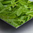 Clustered Bindweed Flowers Impression metal