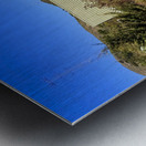 IMG 9695 Metal print