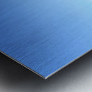 IMG 0160 Metal print