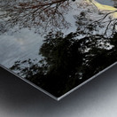 IMG 0467 Impression metal