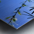 IMG 0029 Metal print