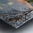 IMG 0479 Metal print