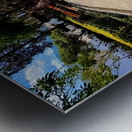 IMG 0279 Metal print