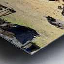 IMG 9621 Metal print