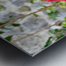 IMG 9955 Metal print