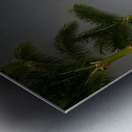 IMG 0441 Metal print