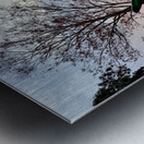 IMG 0496 Impression metal