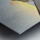 IMG 9950 Metal print