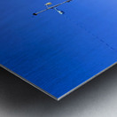 IMG 9700 Metal print