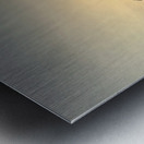 IMG 8007 Metal print