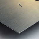 IMG 7995 Metal print