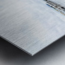 IMG 8812 Metal print