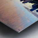 IMG 7956 Metal print