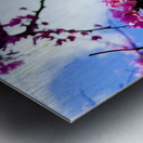 IMG 1704 Metal print