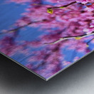 IMG 1620 Impression metal