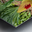 IMG 1613 Impression metal