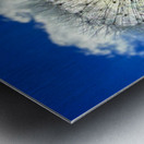 IMG 1740 Impression metal