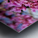 IMG 1570 Metal print