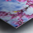 IMG 1683 Metal print