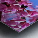 IMG 1648 Impression metal