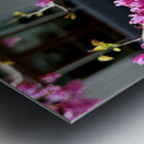 IMG 1627 Metal print