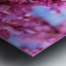 IMG 1671 Metal print